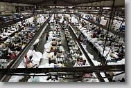Thousands of workers work in the sewing operation for AGA Corp. in Port au Prince Wednesday May 5, 2010.  The plant produce over one million men's t-shirts a week.  ETHAN HYMAN  - ehyman@newsobserver.com