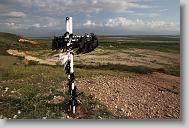 ETHAN HYMAN  - ehyman@newsobserver.com